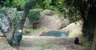 Lavoir des Chapelains - Saint-André-et-Appelles - Patrice Coutaud