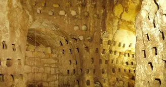Troglodytes de la Tourette 1