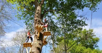 Bazas - Aventures Sud-Gironde (3)