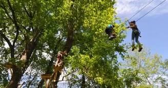 Bazas - Aventures Sud-Gironde (6)