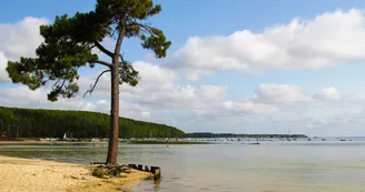 Lac-de-Carcans