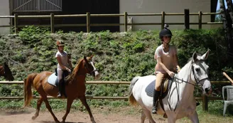 Poney Club