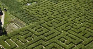 labyrinthe de l'ermite