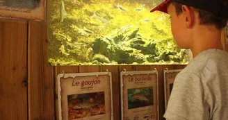 Aquariums du Lavoir_1 Aquariums du Lavoir_1
