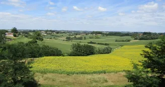 Point de vue belvédère - Bastide de Montfort-en-Chalosse