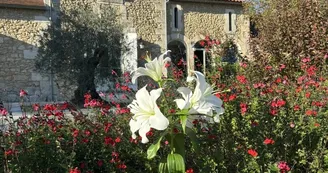 domaine-ecrin-lumiere-jardin-campsegret-tourisme-vallee-isle domaine-ecrin-lumiere-jardin-campsegret-tourisme-vallee-isle