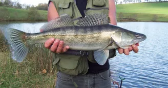 Lac Harrieta - pêcheur - Saint Jean le Vieux