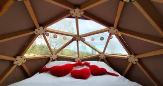Friendly Camping and Lodges
