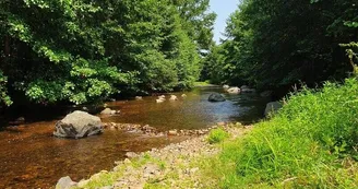 Friendly Camping and Lodges