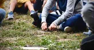 Activités pédagogiques pour les enfants