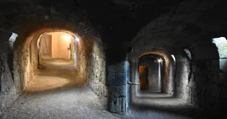 Musée Calèches Bourg 5
