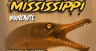 1. Nouveaut‚ 2026 Les Dents du Mississippi 1. Nouveaut‚ 2026 Les Dents du Mississippi