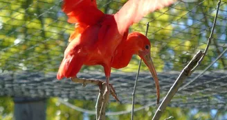 Zoo de Mescoules (11)