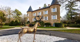 Chateau de Maraval  (1)