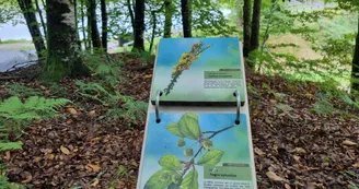 Plan d'eau de la Besse - Meilhards ©Laurence Léonard  (10)