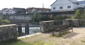 jardin-cherbero-bord-de-saison