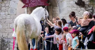 4  Chateau animation cheval jeux enfants bois bridoire