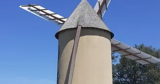20200525_150344
