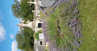 cimetière cimetière