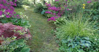 Le Jardin des Bois_2