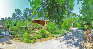 Panorama Panorama