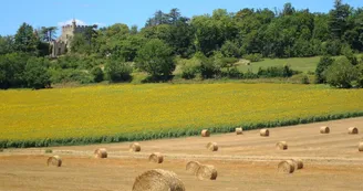 AlbretTourisme03