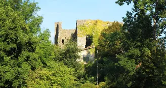 DPP_0094AlbretTourisme37