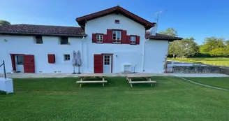 1000087183 1000087183