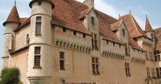 chateau-de-neuvic