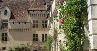 cour du château de Neuvic
