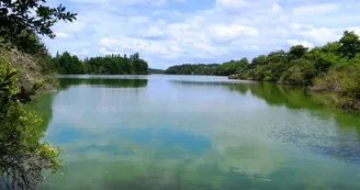 Réserve naturelle de l'étang noir