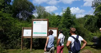 visite de la réserve naturelle de l'étang noir