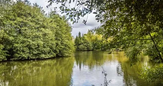 Lac des carolins - Lescar - le lac