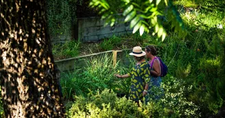14 jardin botanique et allée des Tarrides © M.Prat