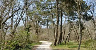 Bois du Dehes ©Ville du Haillan (1)