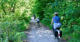 Bois du Dehes ©Ville du Haillan (2)