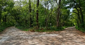 Bois du Dehes ©Ville du Haillan (3)