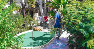 Jungle-Golf