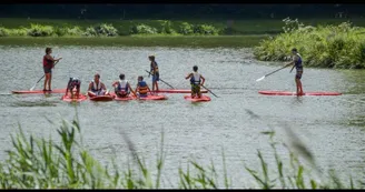 Paddle Blasimon