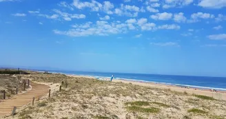 Plage Métro - Tarnos 2
