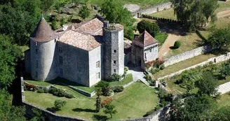 Château du Puch de Gensac
