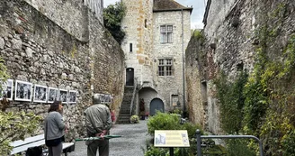 Hotel de la lune Orthez gite pelerins compostelle