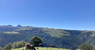 Détente à Issarbe, vue sur le Pic d'Anie