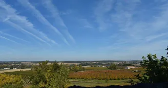 Monteton 7