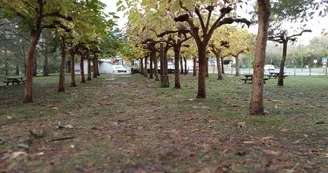 larre lore tables pique nique