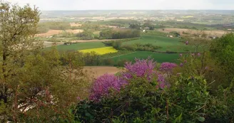 Vue-de-monsegur-2012-Mme-Gardes--800x600-