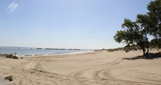 Plage de la Chambrette