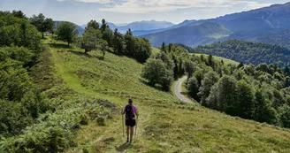 Entre crêtes et forêts, itinéraire pédestre facile à Issarbe