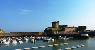 Le-fort