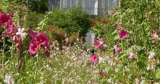 Château Mongenan, Jardins - PORTETS - La Gironde du Sud
